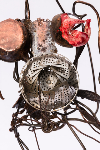 Détails de la Vénus 2012