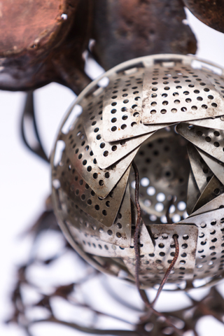 Détails de la Vénus 2012